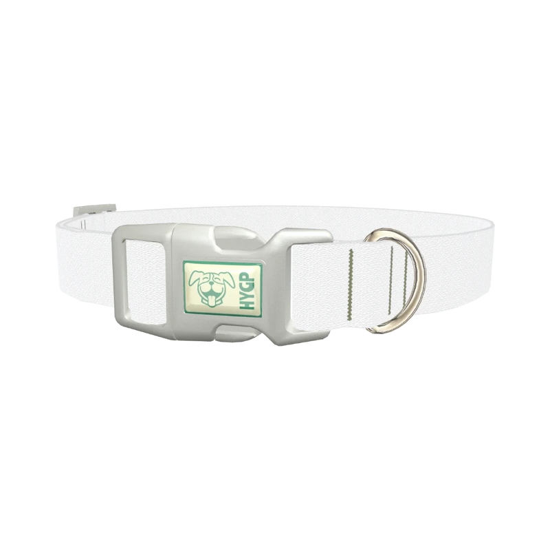 Hotot Bunny Color Dog Collar - plastic silver