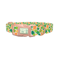 Multicolor Clover Dog Collar - plastic rose gold
