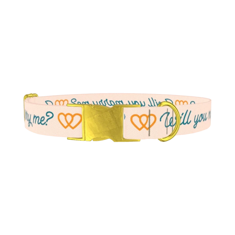 Phrase Heart Dog Collar - metal gold
