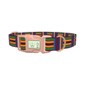 Azure Brown Green Stripe Dog Collar - plastic rose gold