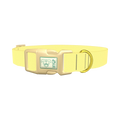  - plastic gold