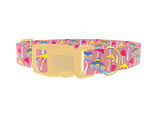 Colorful Mushroom Field Dog Collar