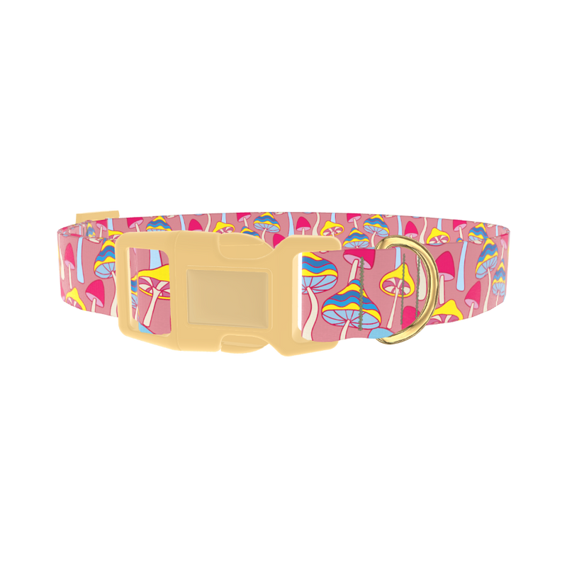 Colorful Mushroom Field Dog Collar - plastic gold