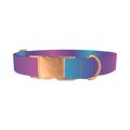 Blue Pink Ombre Dog Collar - metal rose gold