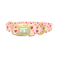 Flying Heart Dog Collar - plastic gold