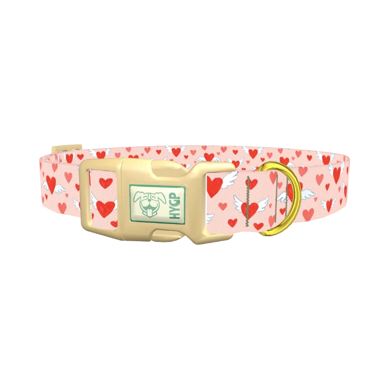 Flying Heart Dog Collar - plastic gold