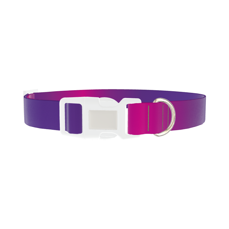 Pink Purple Gradient Dog Collar - plastic silver