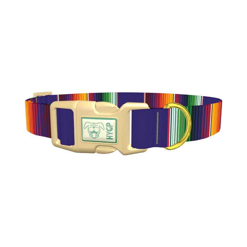 Colorful Stripes Dog Collar - plastic gold