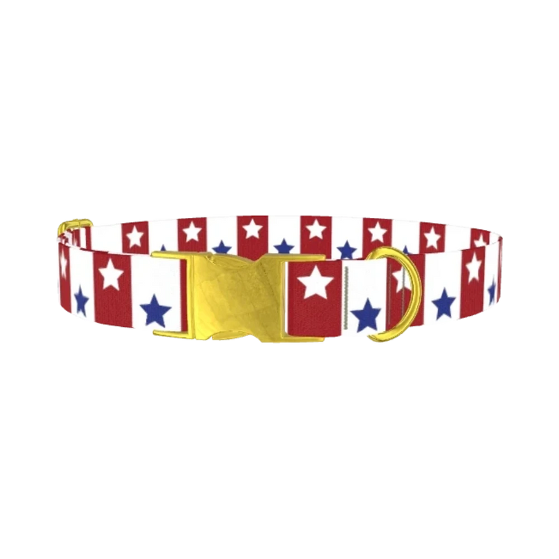 Bicolor Star Dog Collar - metal gold