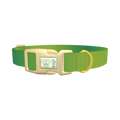 Green Gradient Dog Collar - plastic gold
