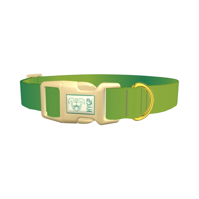 Green Gradient Dog Collar - plastic gold