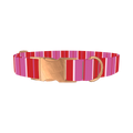 Red Pink Striped Dog Collar - metal rose gold