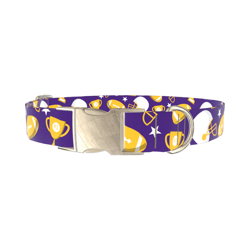 Football Theme Dog Collar - metal silver