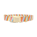 Colorful Diagonal Stripe Dog Collar - plastic silver