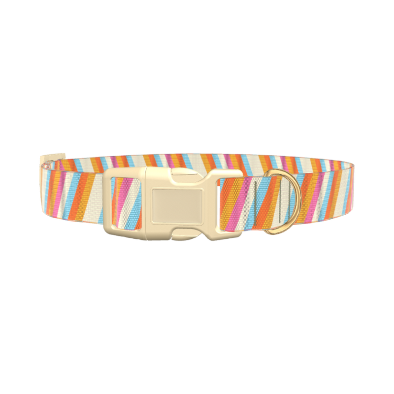 Colorful Diagonal Stripe Dog Collar - plastic silver