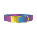 Blue Pink Ombre Dog Collar - metal gold