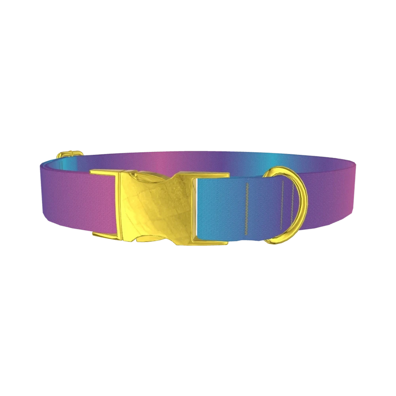 Blue Pink Ombre Dog Collar - metal gold