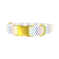 Rainbow Polka Dot Dog Collar - metal gold