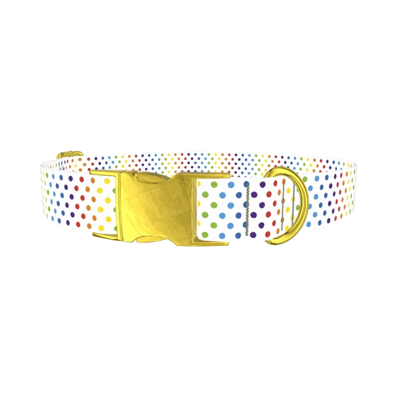 Rainbow Polka Dot Dog Collar - metal gold