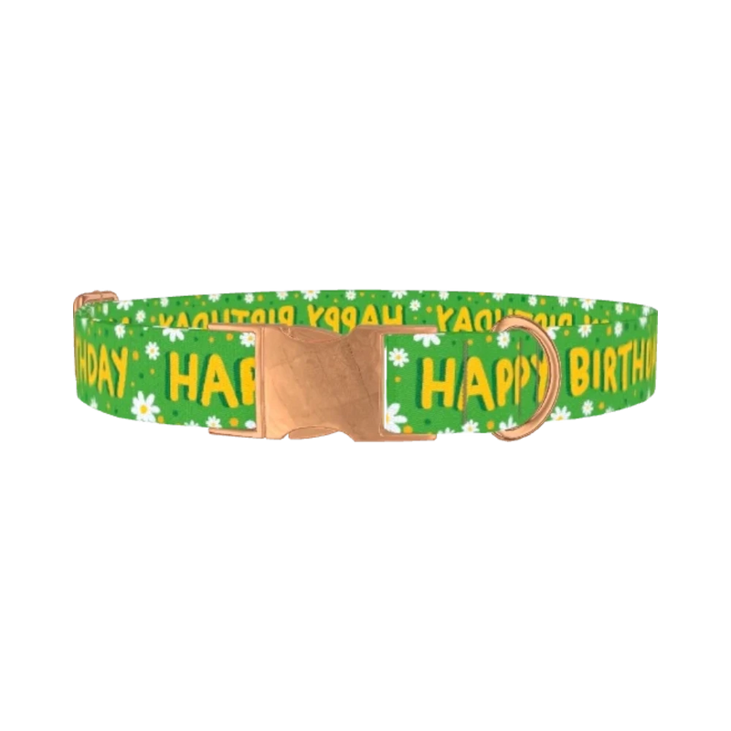 Birthday Floral Dog Collar - metal rose gold