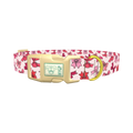 Pink Bow Pattern Dog Collar - plastic gold