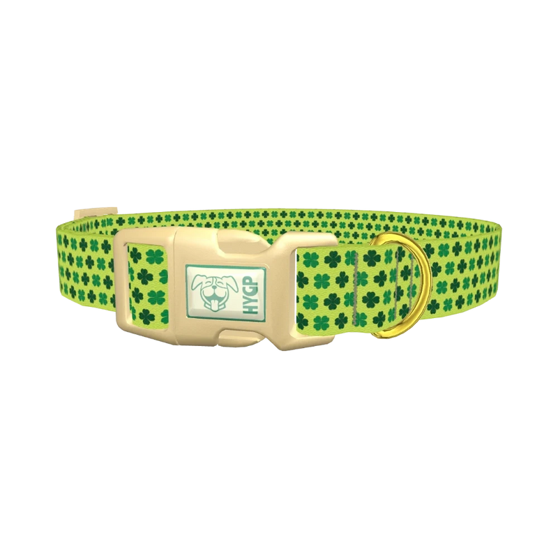 Lime Clover Pattern Dog Collar - plastic gold