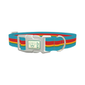 Turquoise Red Stripe Dog Collar - plastic silver