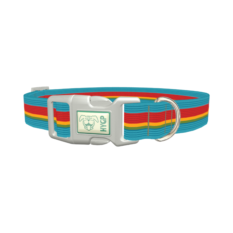Turquoise Red Stripe Dog Collar - plastic silver