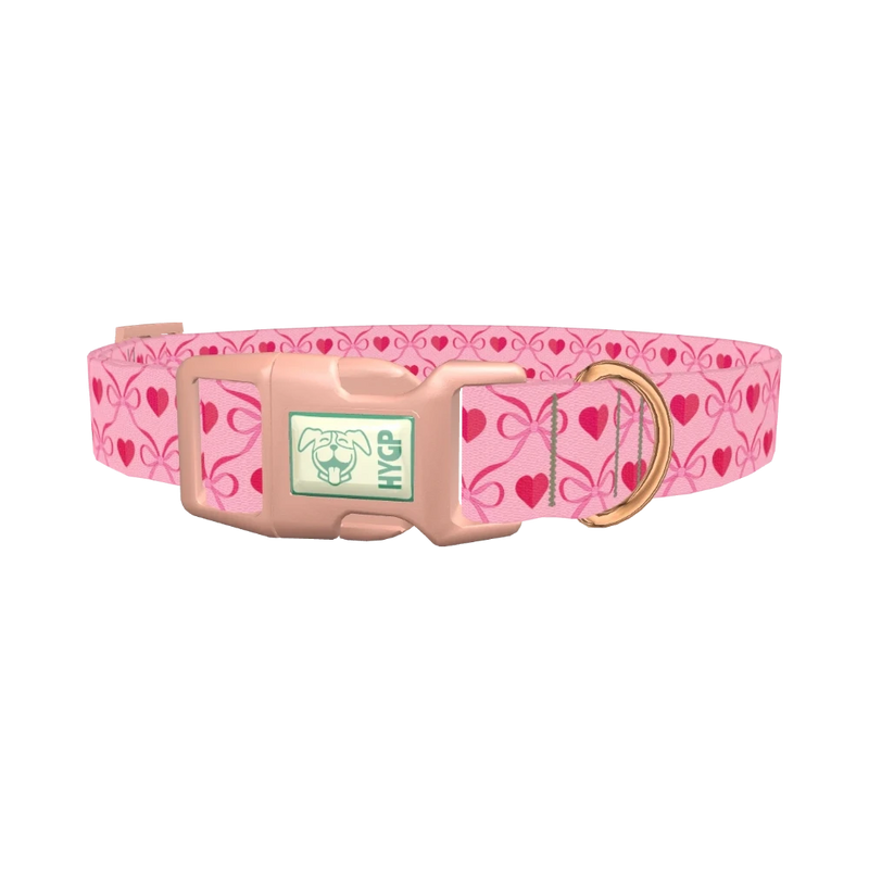 Valentine Heart Dog Collar - plastic rose gold