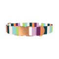 Colorful Stripe Dog Collar - metal rose gold
