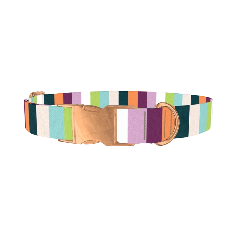 Colorful Stripe Dog Collar - metal rose gold