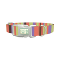 Green Striped Dog Collar - plastic silver