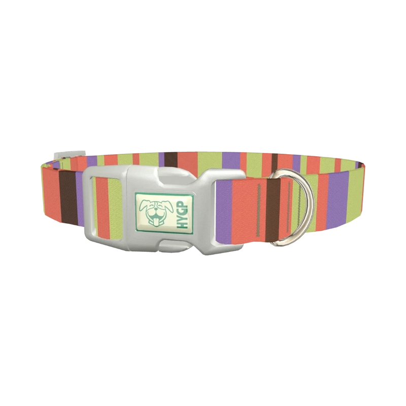 Green Striped Dog Collar - plastic silver