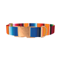 Mexican Textile Stripes Dog Collar - metal rose gold