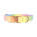 Pastel Gradient Dog Collar - metal rose gold