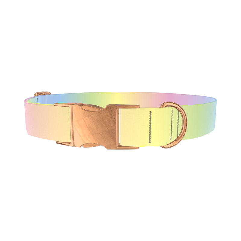 Pastel Gradient Dog Collar - metal rose gold