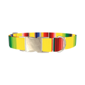 Yellow Mexican Stripe Dog Collar - metal silver