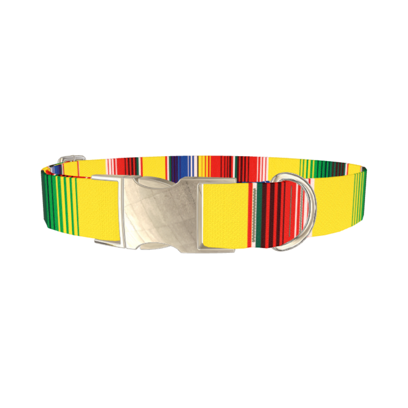Yellow Mexican Stripe Dog Collar - metal silver