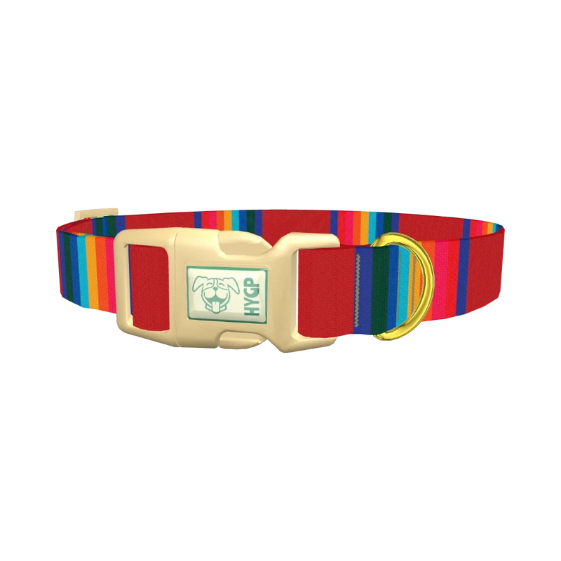 Striped Rainbow Dog Collar - plastic gold