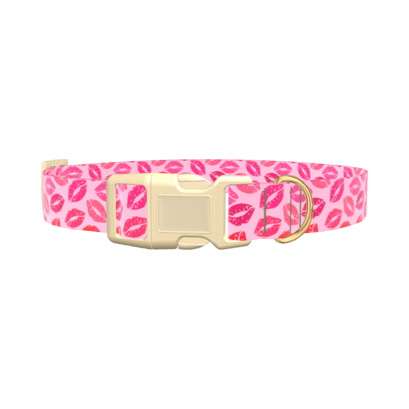 Valentine Kiss Dog Collar - plastic silver