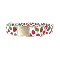Raspberry Fruit Dog Collar - metal silver