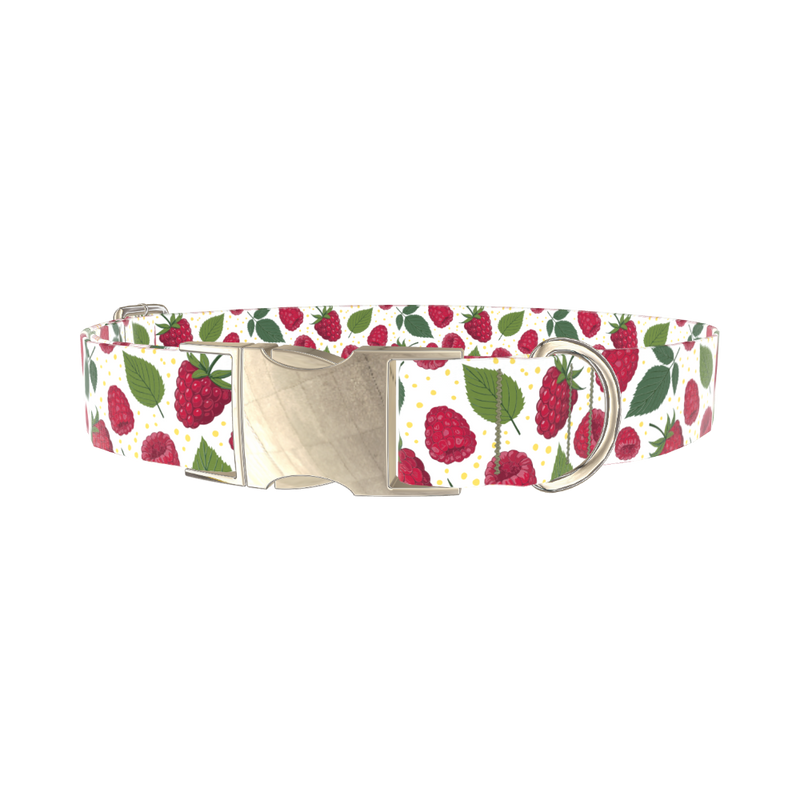 Raspberry Fruit Dog Collar - metal silver