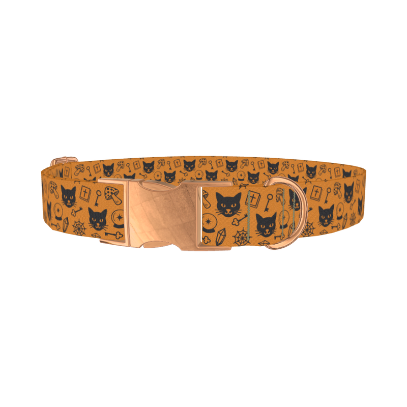 Halloween Cat Pattern Dog Collar - metal rose gold