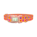 Heart Paw Print Dog Collar - plastic rose gold