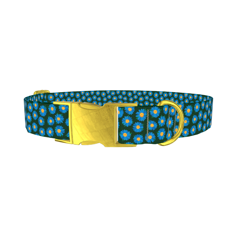 Blue Daisy Floral Dog Collar - metal gold