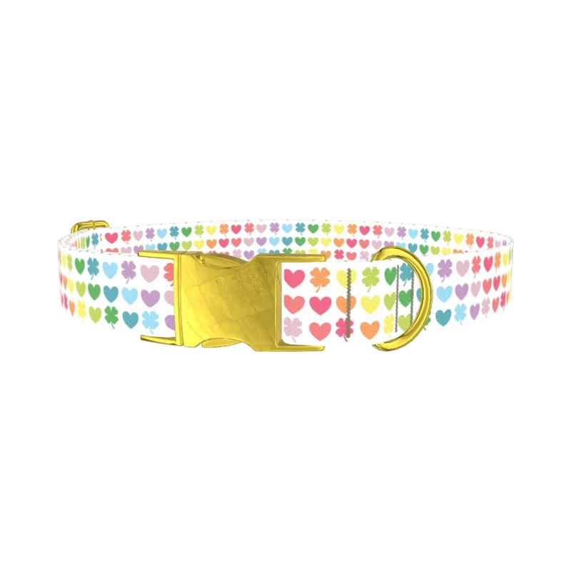 Rainbow Heart and Clover Dog Collar - metal gold