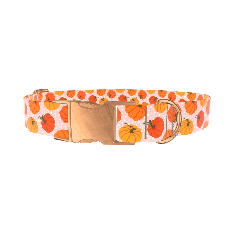 Halloween Pumpkin Dot Dog Collar - metal silver