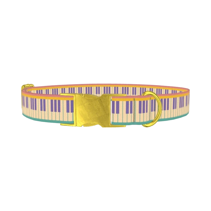 Piano Key Dog Collar - metal gold