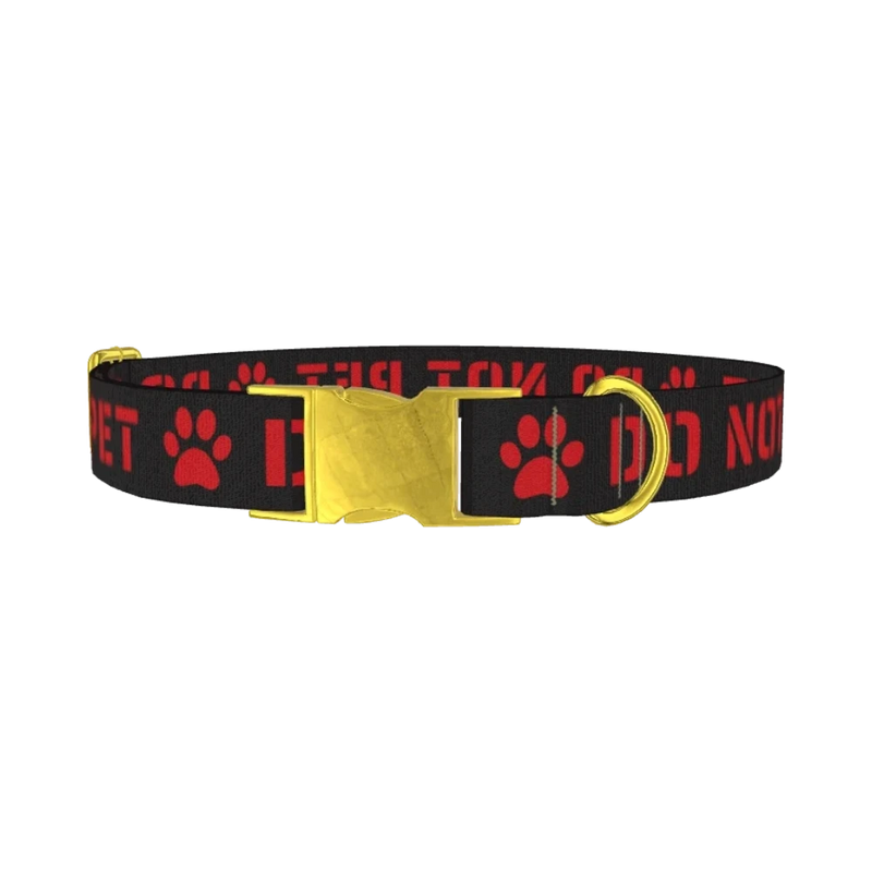 Warning Sign Dog Collar - metal gold