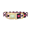Valentine Heart Stripe Dog Collar - plastic gold